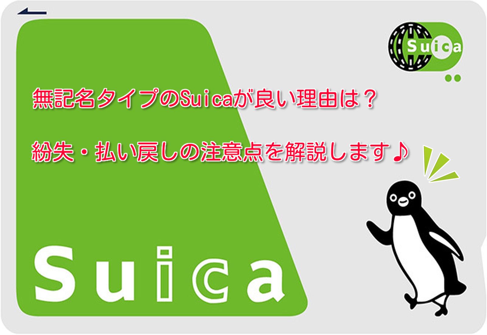 Suica 無記名 デポジットのみ | www.trevires.be